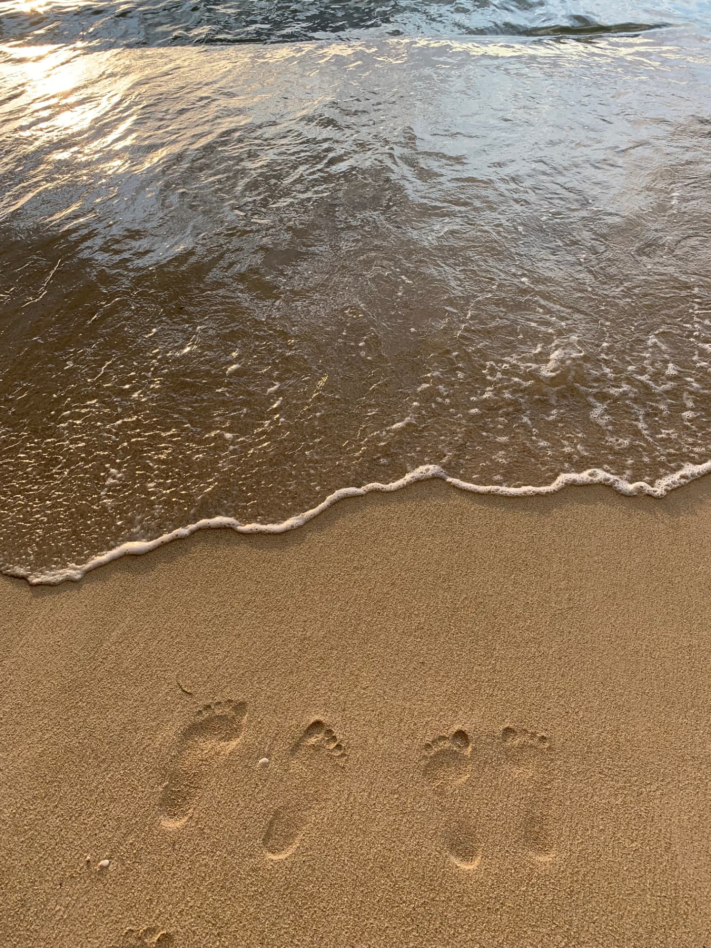 Footprints in the sand at the shoreline